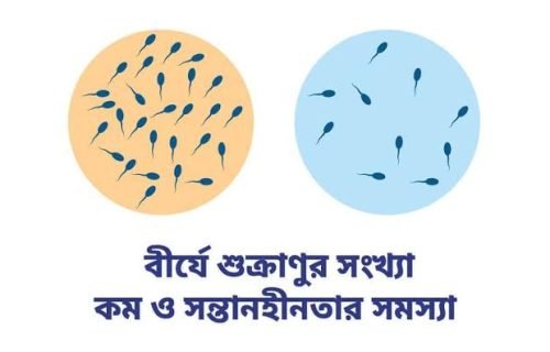 WhatsApp Image 2025-05-01 at 19.05.11 (2)