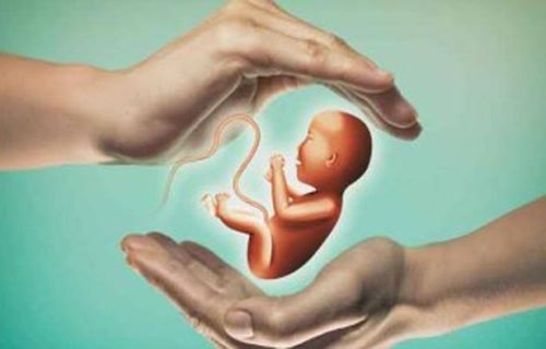 WhatsApp Image 2025-05-01 at 19.05.12