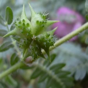 WhatsApp Image 2025-05-02 at 01.12.46