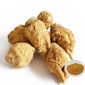 WhatsApp Image 2025-05-02 at 01.34.10